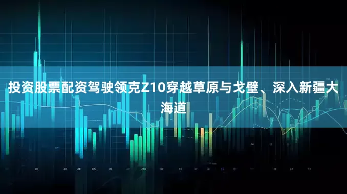 投资股票配资驾驶领克Z10穿越草原与戈壁、深入新疆大海道