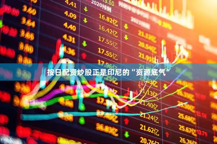 按日配资炒股　　正是印尼的“资源底气”