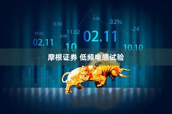 摩根证券 低频电感试验
