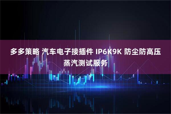 多多策略 汽车电子接插件 IP6K9K 防尘防高压蒸汽测试服务